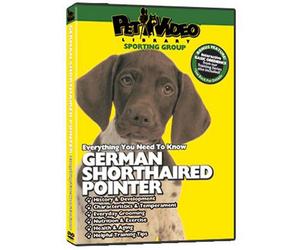 GERMAN SHORTHAIRED POINTER DVD: Everything You Should Know + Dog & Puppy Training Bonus