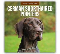 German Shorthaired Pointers - Deutscher Kurzhaar - Chien d'arrêt allemand à poil court 2025 - Calendrier de 16 mois