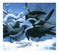 Germano, Lisa - In the Maybe World