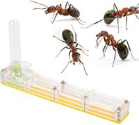 Germes acryliques -Maison d'élevage Nid Formicarium Présentoir -Box avec château d'eau avec hygromètre à sonnerie