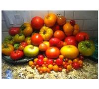 Germination Les graines: 15 Variétés: Choisissez Vos Propres semences de variétés de tomates de Plus de 100 Types Diff !! Bonus Seeds, Plus