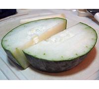 Germination Les graines: 25 - Graines: Canton Géant d'hiver Melon graines - La Texture Douce et juteuse !! Livraison Gratuite!!!