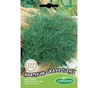 Germisem Anethum Graveolens Graines de Aneth 4 g EC1107 Multicolore