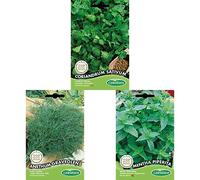 Germisem Anethum Graveolens Graines de Aneth+graines Menthe poivrée+Coriandre CORIANDRUM SATIVUM