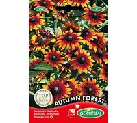Germisem Autumn Forest Graines de Échinacée 1 g EC1599 Multicolore