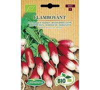 Germisem Bio Flamboyant Graines de Radis 5 g ECBIO9033 Multicolore