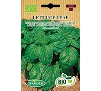Germisem Bio Graines Basilic à feuilles de laitue LETTUCE LEAF