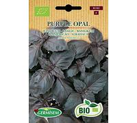 Germisem Bio Graines Basilic PURPLE OPAL