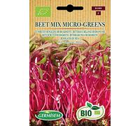 Germisem Bio Graines Betterave mélange micro-pousse