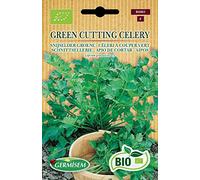 Germisem Bio Graines Céleri à couper Vert GREEN CUTTING CELERY
