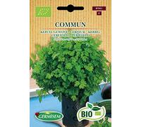 Germisem Bio Graines Cerfeuil COMMUM