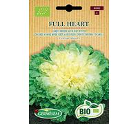 Germisem Bio Graines Chicorée Scarole ronde verte à cœur plein FULL HEART