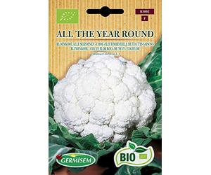 Germisem Bio Graines Chou-fleur Merveille de toutes saisons ALL THE YEAR ROUND