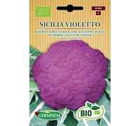 Germisem Bio Graines Chou-fleur violet de Sicile SICILIA VIOLETTO