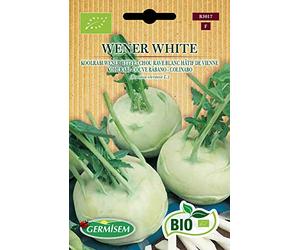 Germisem Bio Graines Chou rave blanc hâtif de Vienne WENER WHITE