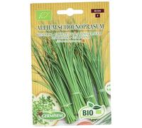 Germisem Bio Graines Ciboulette ALLIUM SCHOENOPRASUM