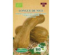 Germisem Bio Graines Courge LONGUE DE NICE