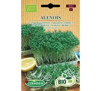 Germisem Bio Graines Cresson Commun ALENOIS