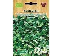 Germisem Bio Graines Cresson vivace de jardin BARBAREA, vert