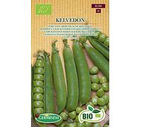 Germisem Bio Graines Doperwt lage Wonder van Kelvedon KELVEDON