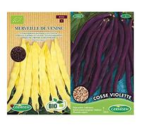 Germisem Bio Graines Haricot à rames à couper MERVEILLE DE VENISE & Cosse Violette Graines de Haricot à Rames 100 g EC1205 Multicolore