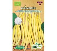 Germisem Bio Graines Haricot à rames mangetout Neckargold ECBIO1204 Multicolore
