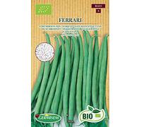 Germisem Bio Graines Haricot nain mangetout fin FERRARI