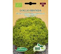 Germisem Bio Graines Laitue frisée LOLLO BIONDA