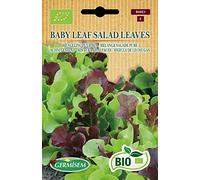 Germisem Bio Graines Mélange Salade Pure BABY LEAF SALAD LEAVES