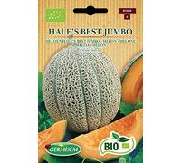 Germisem Bio Graines Melon HALE'S BEST JUMBO