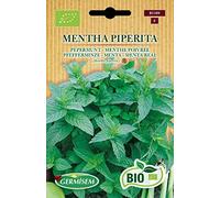 Germisem Bio Graines Menthe poivrée MENTHA PIPERITA