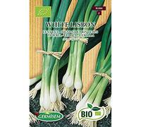 Germisem Bio Graines Oignon de printemps WHITE LISBON