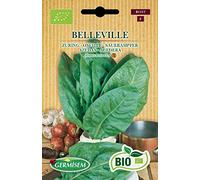 Germisem Bio Graines Oseille BELLEVILLE