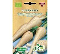 Germisem Bio Graines Panais 1/2 long GUERNESEY