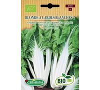 Germisem Bio Graines Poirée BLONDE A CARDES BLANCHES 2