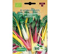 Germisem Bio Graines Poirée RAINBOW MIX