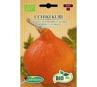 Germisem Bio Graines Potimarron UCHIKI KURI Multicolore ECBIO4007