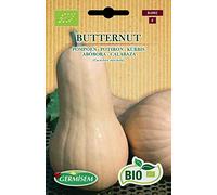 Germisem Bio Graines Potiron BUTTERNUT