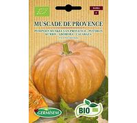 Germisem Bio Graines Potiron MUSCADE DE PROVENCE