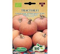 Germisem Bio Graines Potiron rouge TRACTOR