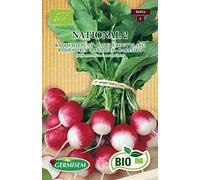 Germisem Bio Graines Radis à bout blanc NATIONAL 2