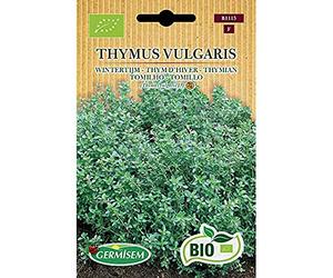 Germisem Bio Graines Thym d'hiver THYMUS VULGARIS