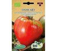 Germisem Bio Graines Tomate Cœur de Bœuf OXHEART