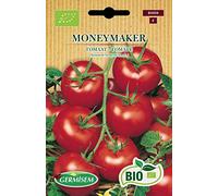 Germisem Bio Graines Tomate MONEYMAKER