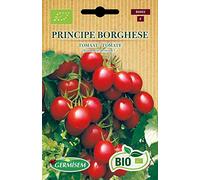 Germisem Bio Graines Tomate PRINCIPE BORGHESE