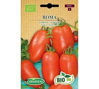 Germisem Bio Graines Tomate ROMA