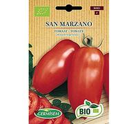 Germisem Bio Graines Tomate SAN MARZANO