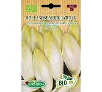 Germisem Bio Hollandse Middelvroeg Graines de Chicorée 2 g