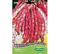 Germisem Borlotto Lingua de Fogo Graines de Haricots Français 100 g