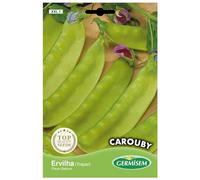 Germisem Carouby Graines de Pois à Sucre 100 g XXL 1